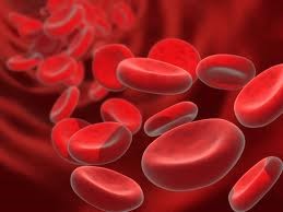 Plasma PRGF Odontologia Valencia